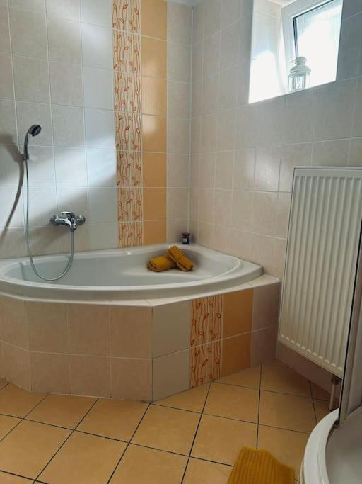 Apartament Na Vesnici Zemetice